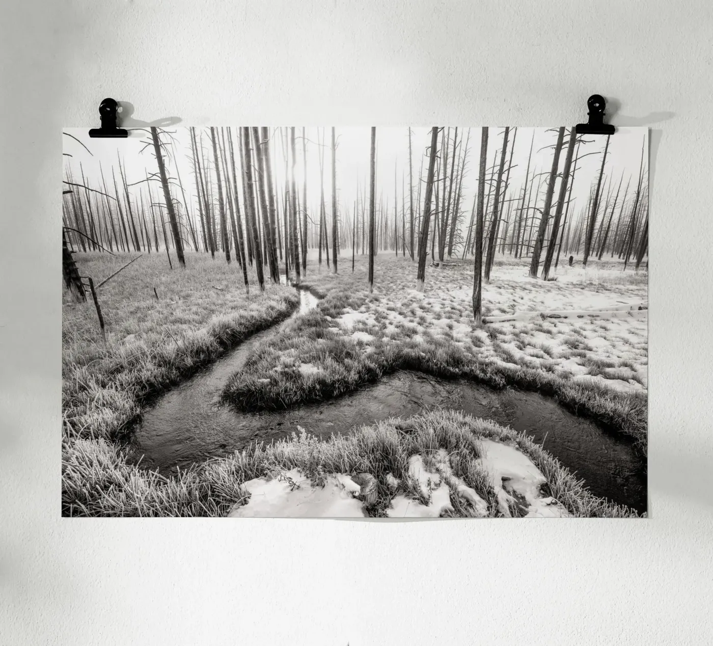 Winter Forest Landscape poster da bwphoto