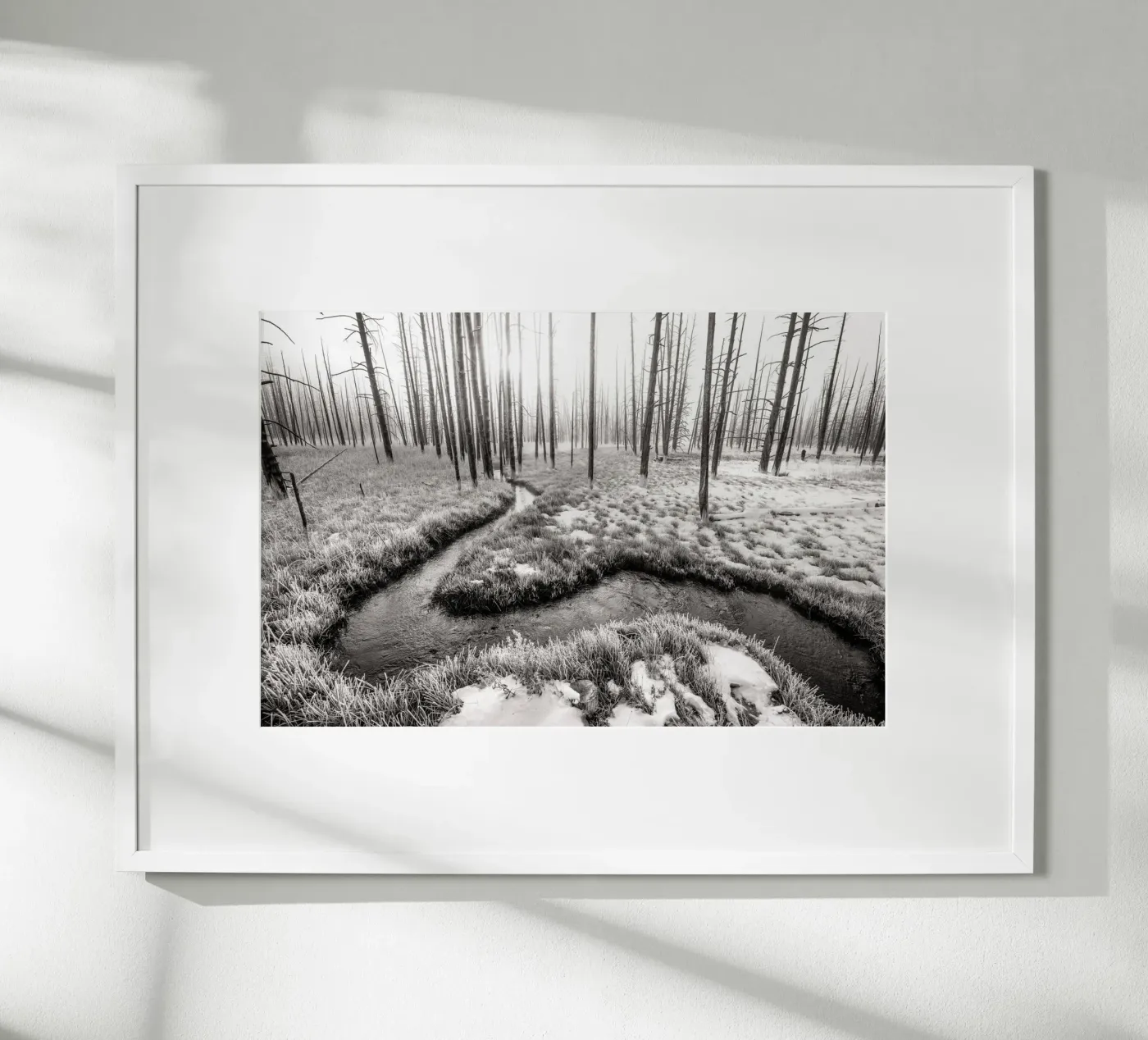 Winter Forest Landscape poster da bwphoto