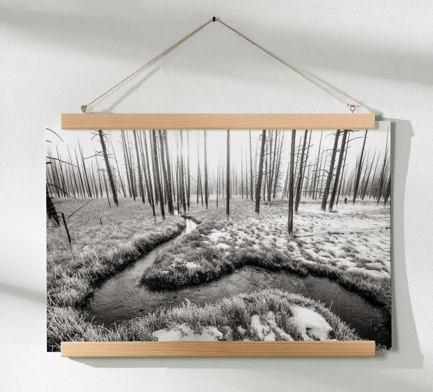 Winter Forest Landscape poster da bwphoto