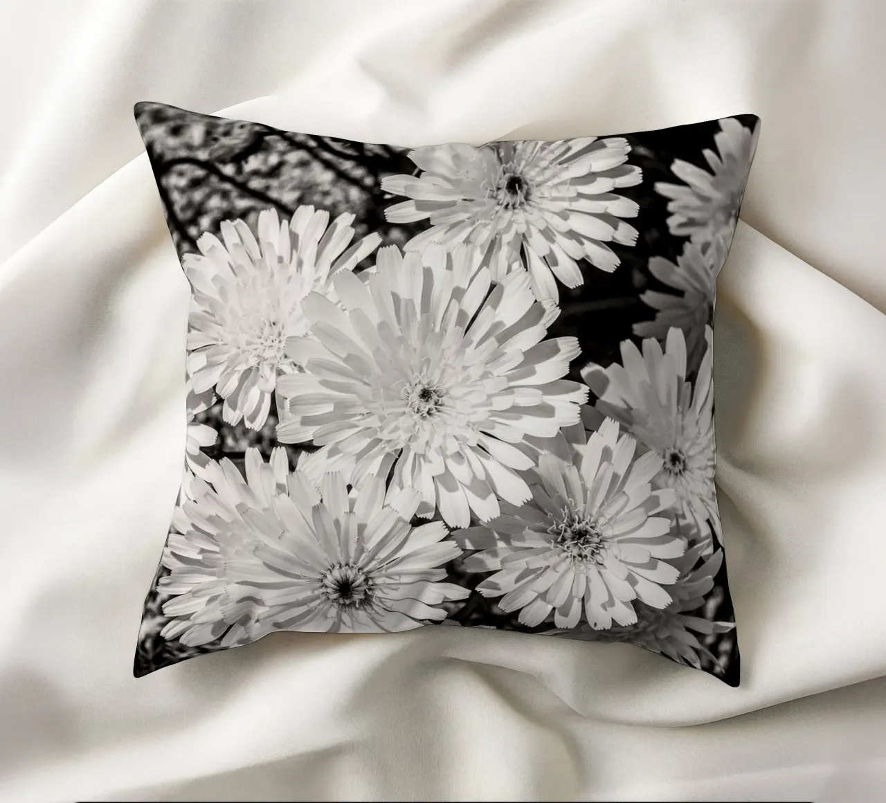 Smooth Desertdandelion cuscino da bwphoto