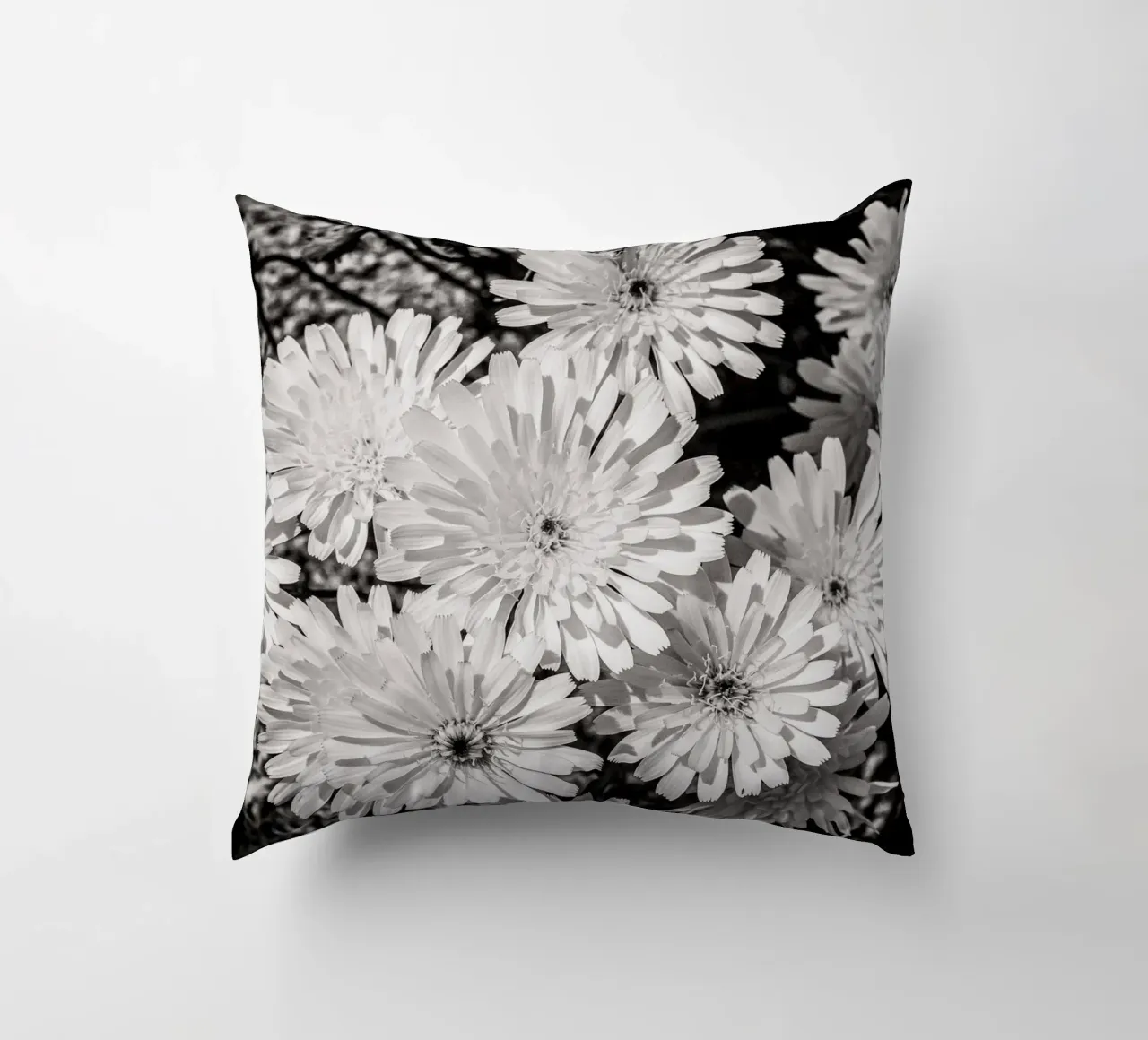 Smooth Desertdandelion cuscino da bwphoto