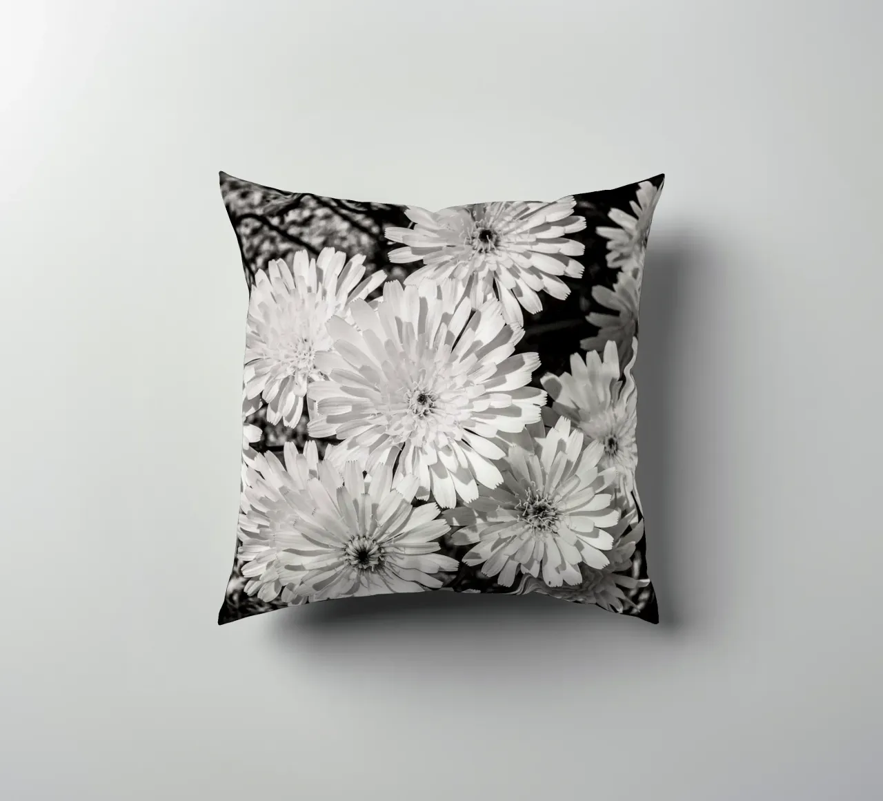 Smooth Desertdandelion cuscino da bwphoto