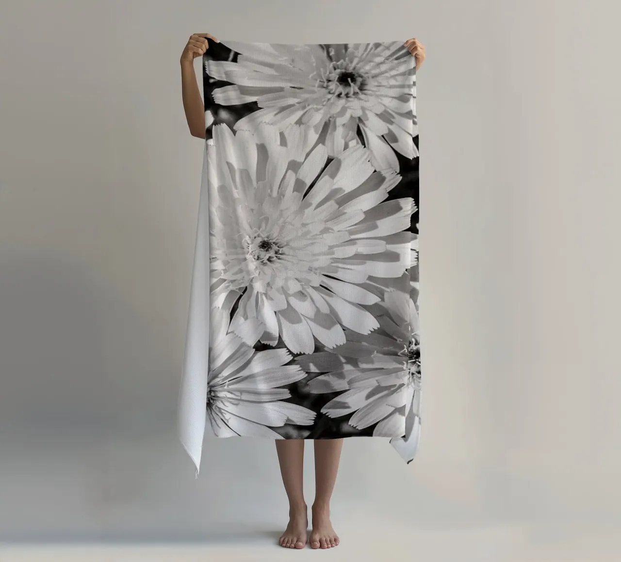 Smooth Desertdandelion telo mare da bwphoto