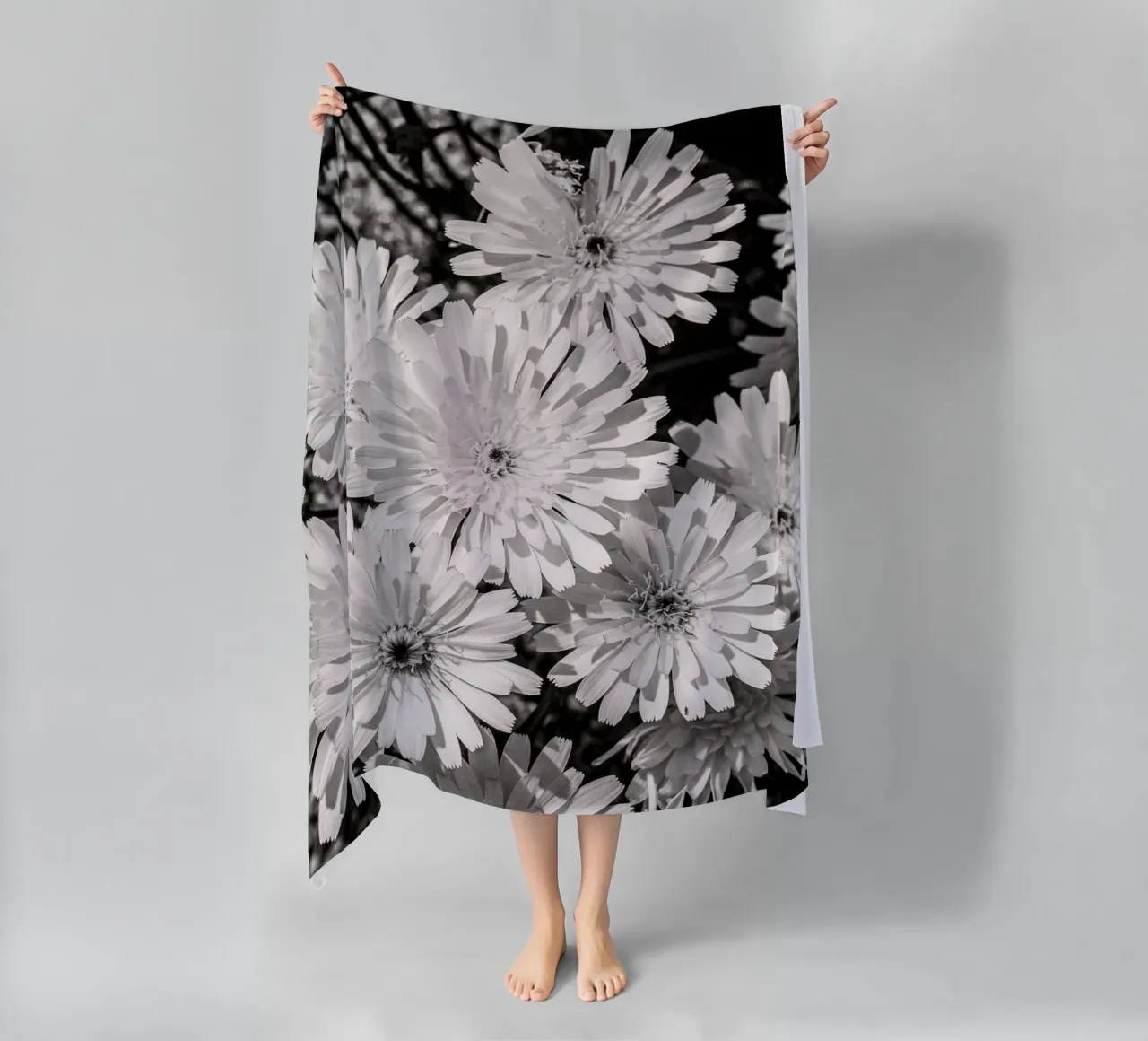 Smooth Desertdandelion telo mare da bwphoto