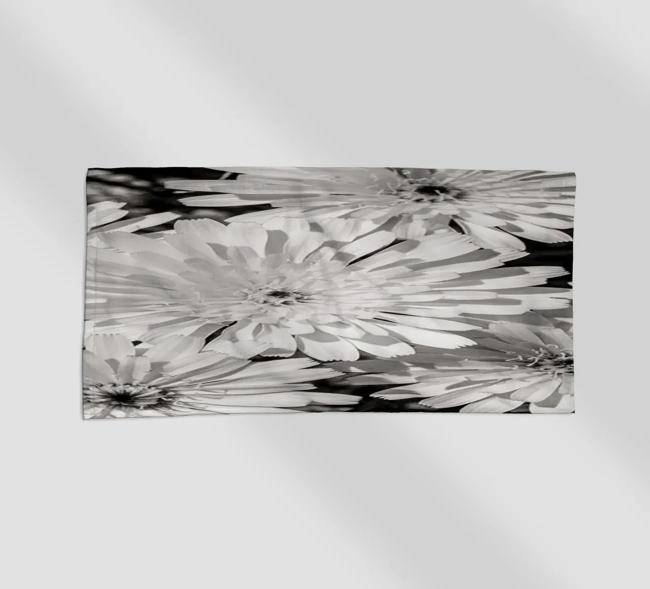 Smooth Desertdandelion telo mare da bwphoto