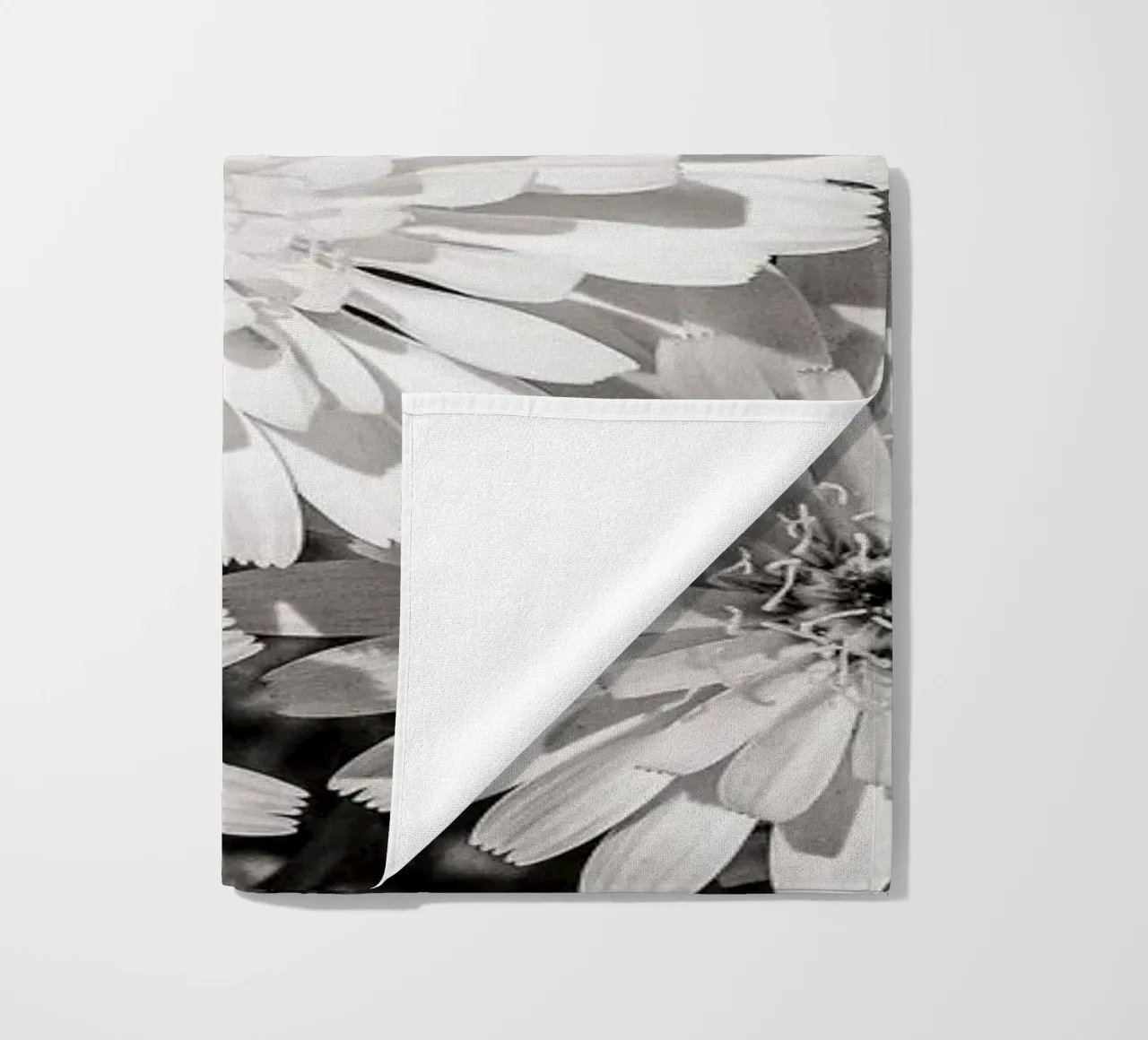 Smooth Desertdandelion telo mare da bwphoto