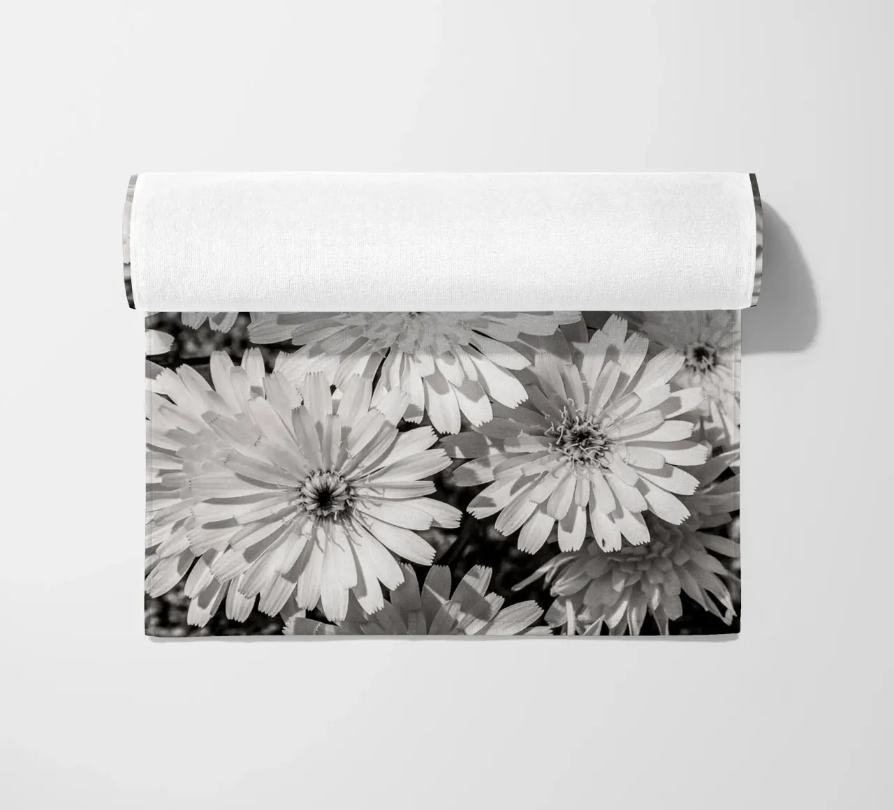 Smooth Desertdandelion telo mare da bwphoto