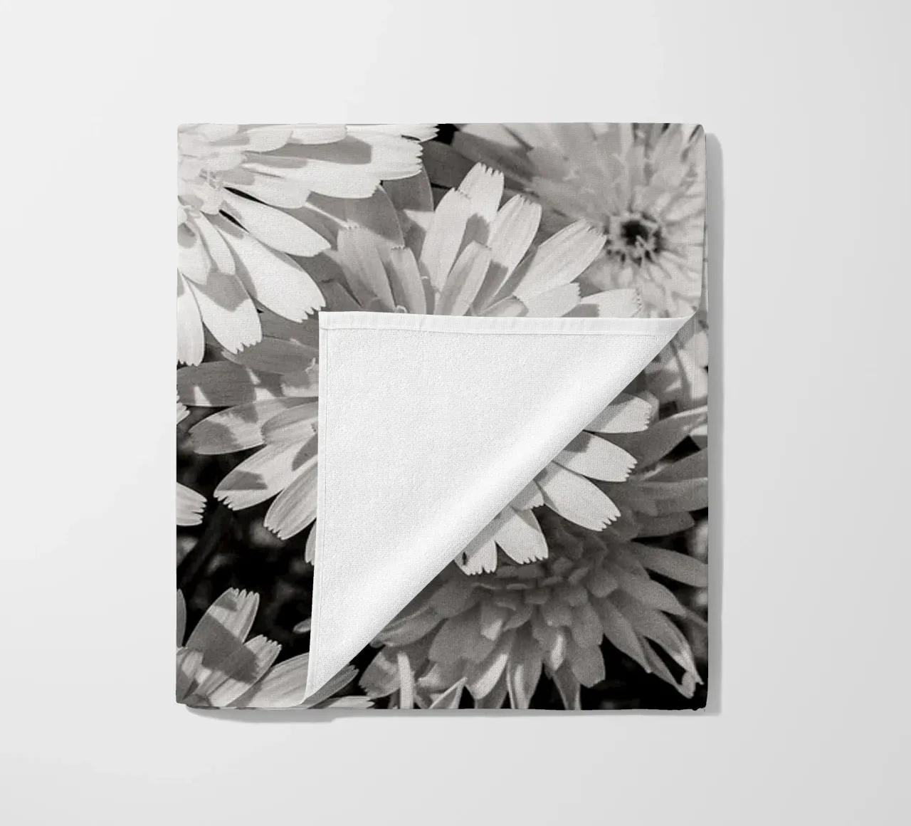 Smooth Desertdandelion telo mare da bwphoto