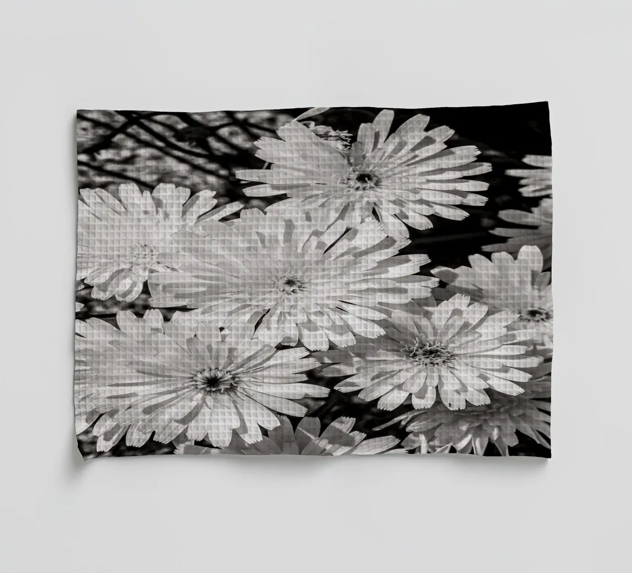 Smooth Desertdandelion canovaccio da cucina da bwphoto