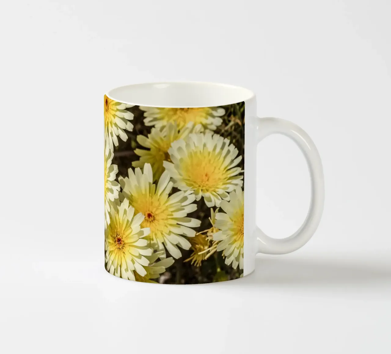Yellow Smooth Desertdandelion tazza in ceramica da stunningphotos
