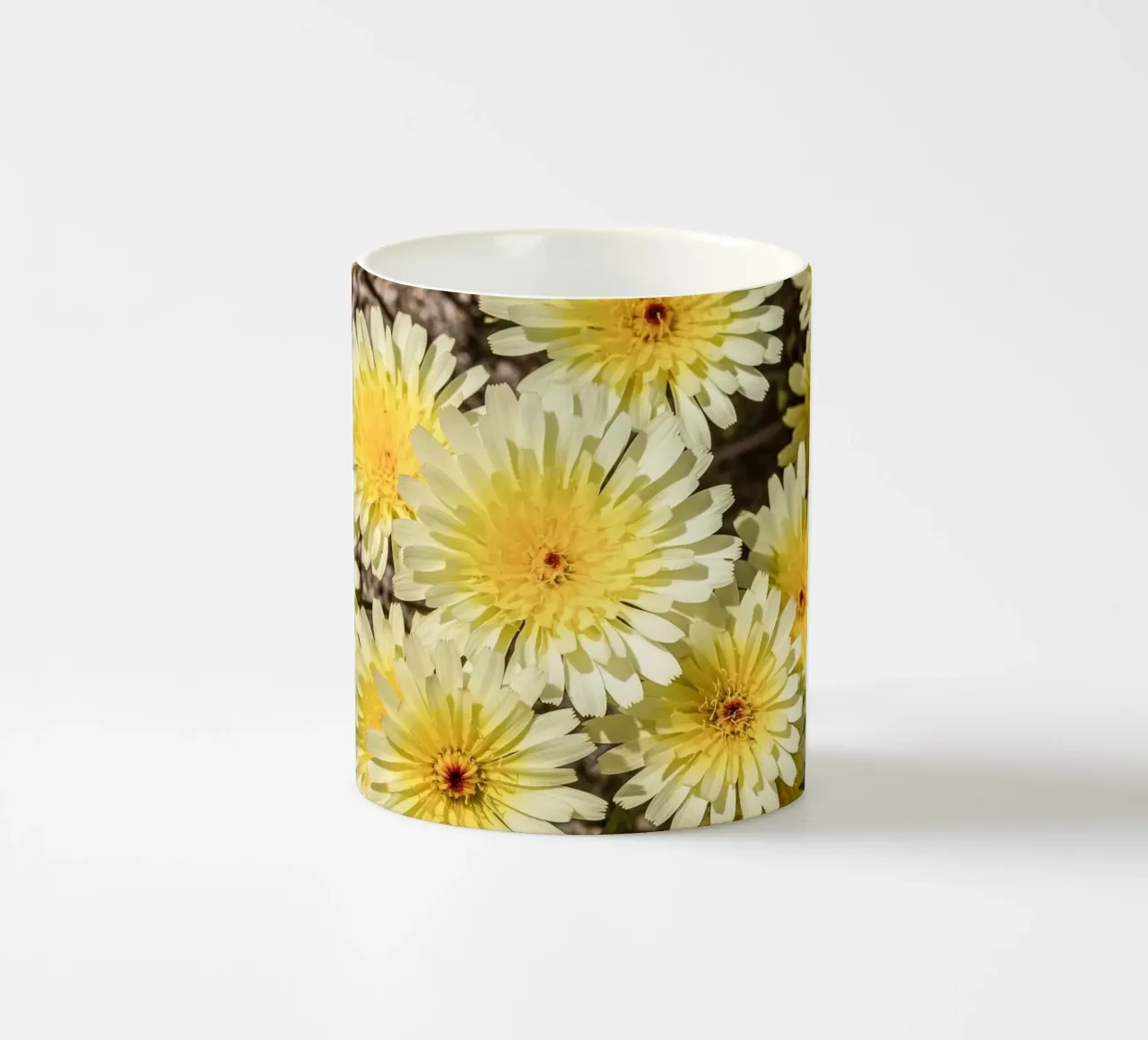 Yellow Smooth Desertdandelion tazza in ceramica da stunningphotos