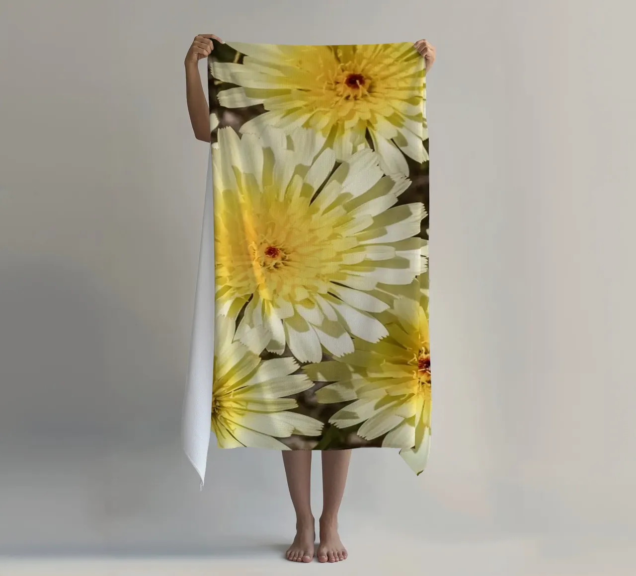 Yellow Smooth Desertdandelion telo mare da stunningphotos