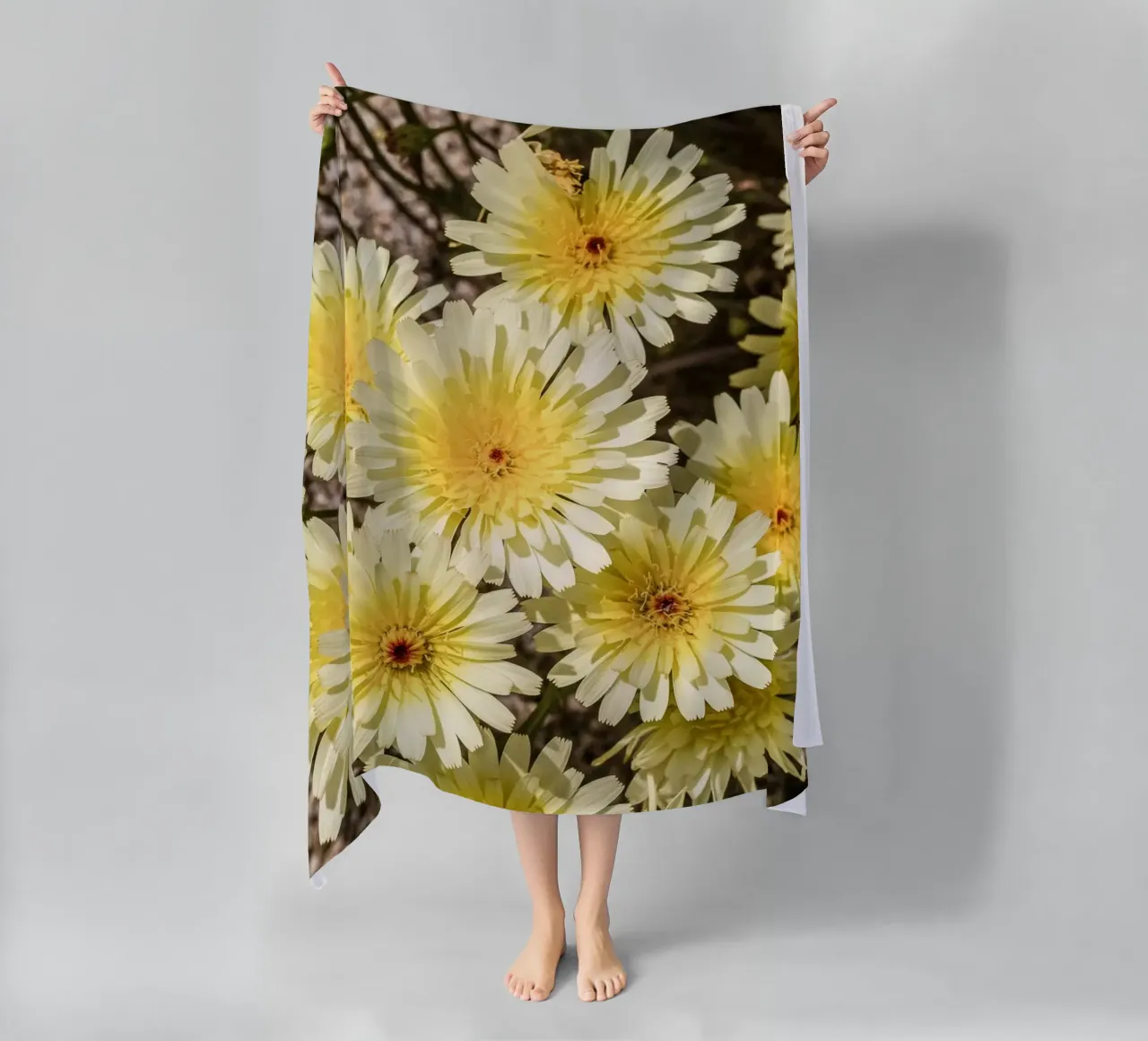 Yellow Smooth Desertdandelion telo mare da stunningphotos