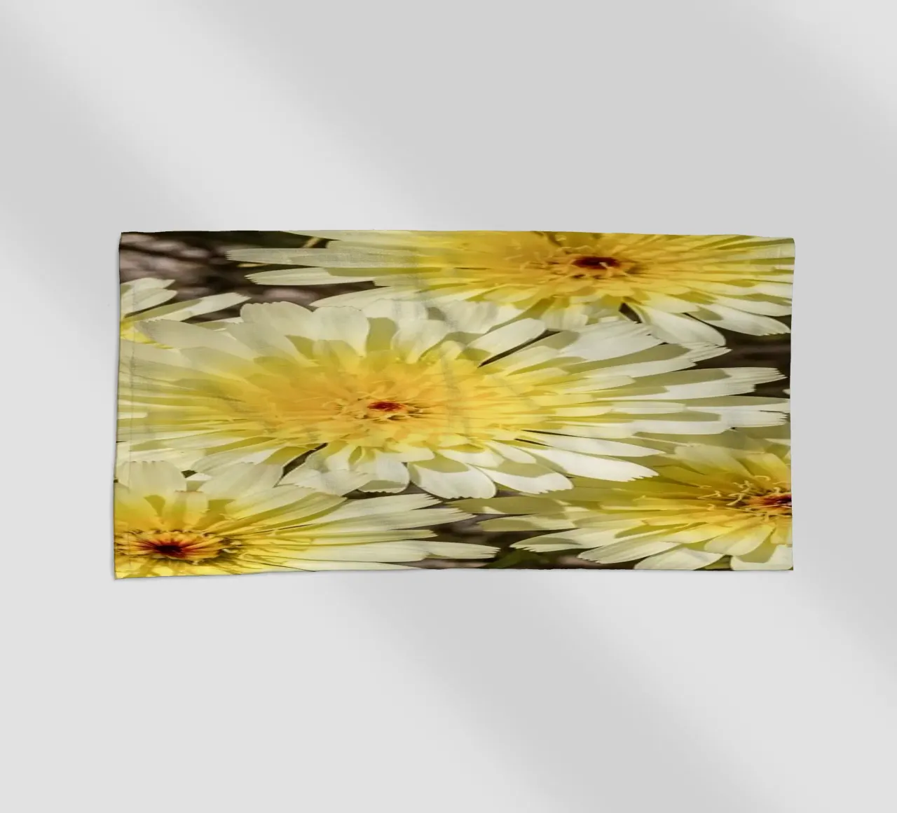 Yellow Smooth Desertdandelion telo mare da stunningphotos