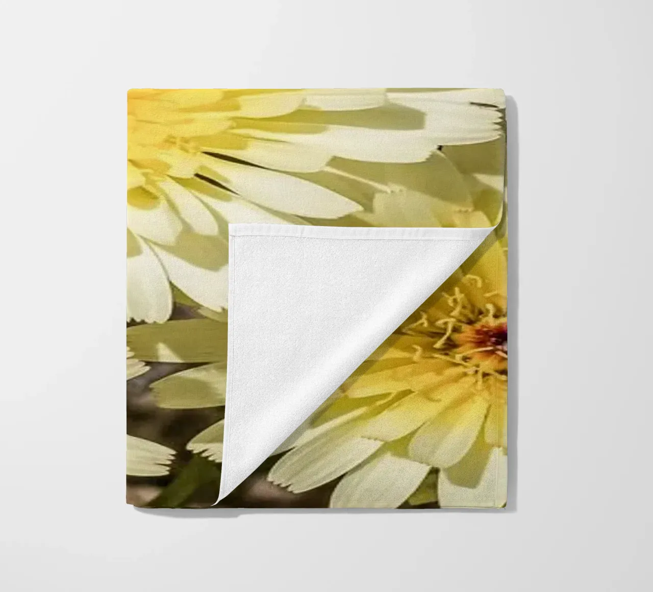 Yellow Smooth Desertdandelion telo mare da stunningphotos