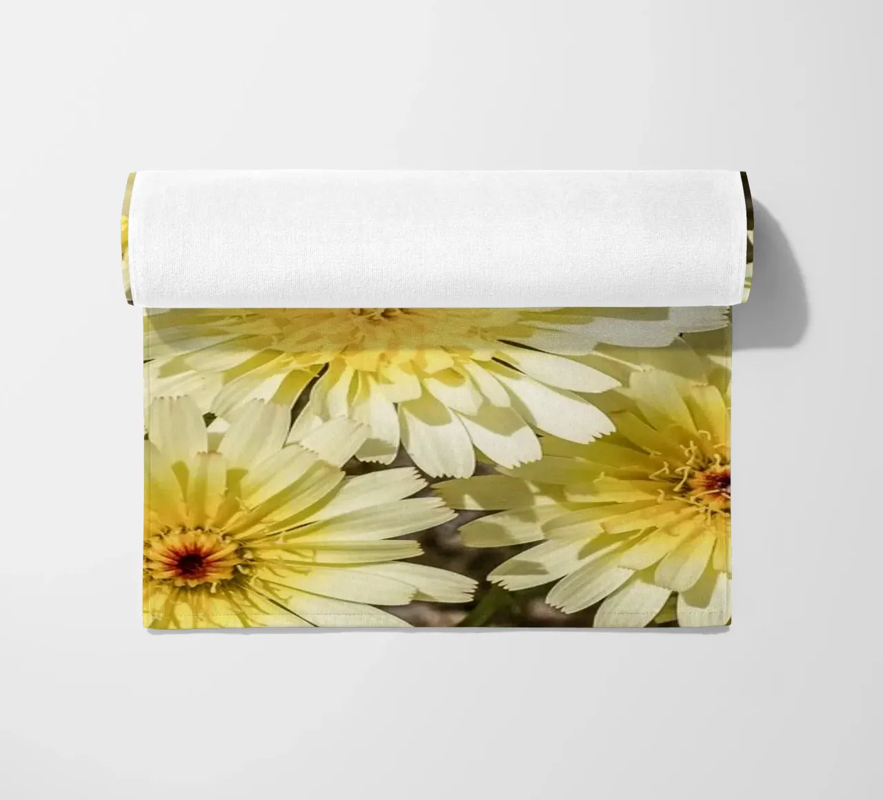 Yellow Smooth Desertdandelion telo mare da stunningphotos