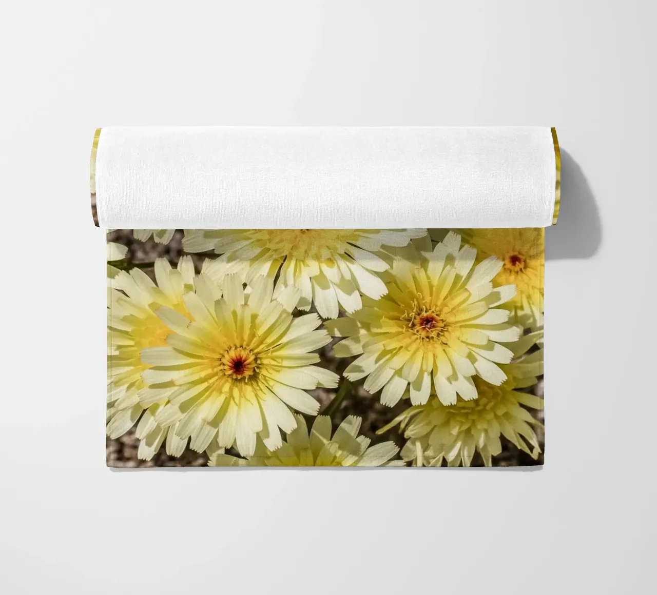 Yellow Smooth Desertdandelion telo mare da stunningphotos