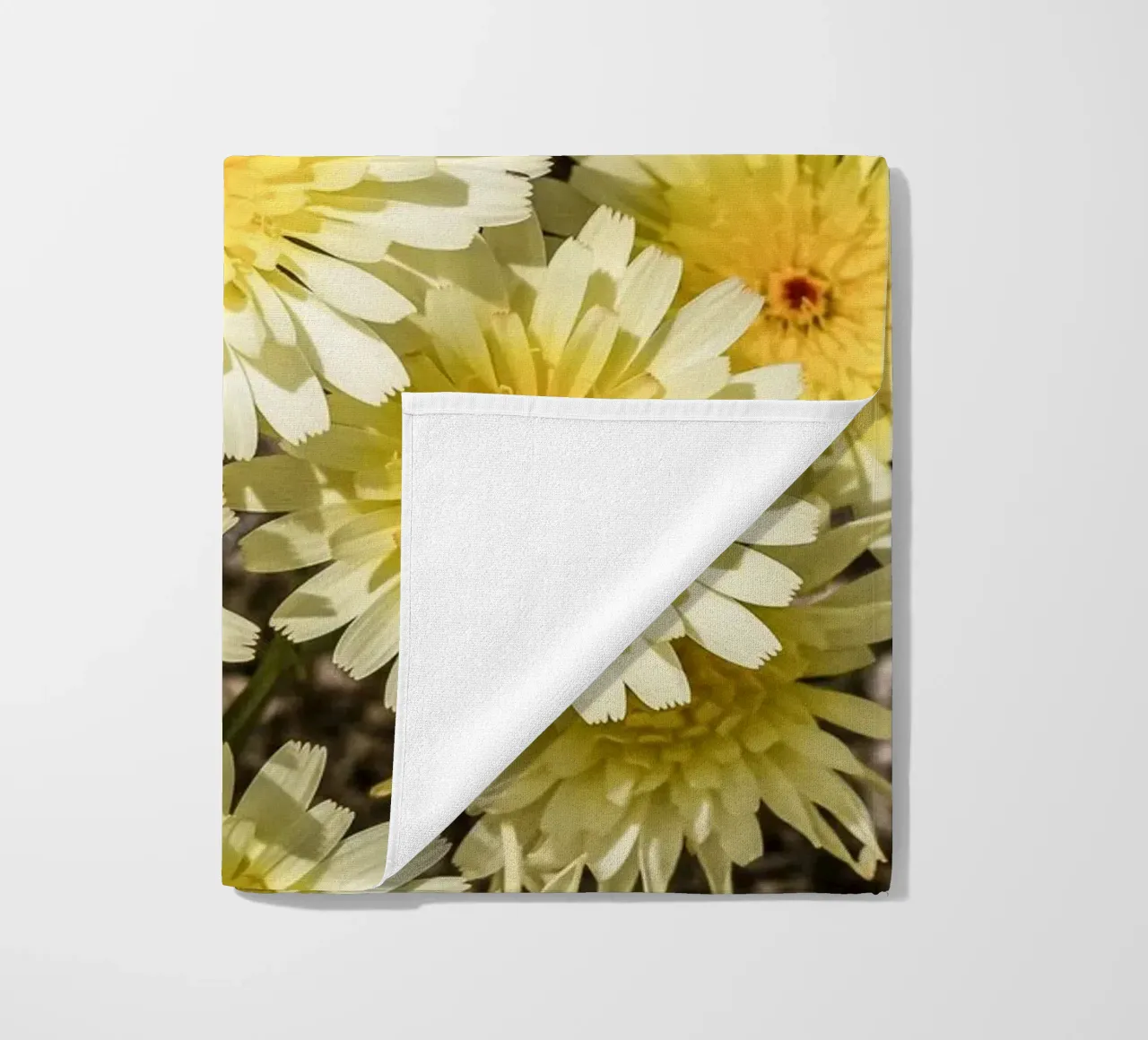 Yellow Smooth Desertdandelion telo mare da stunningphotos