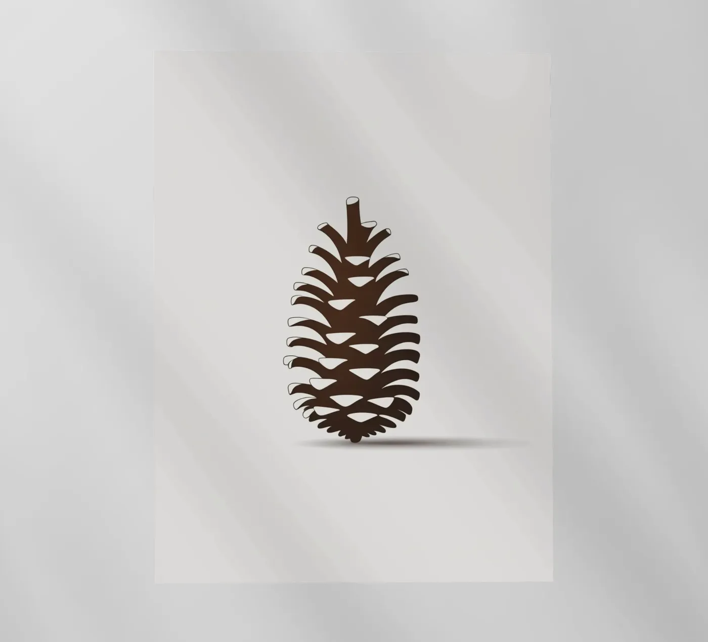 pine cone pellicola backlit da botanical shop