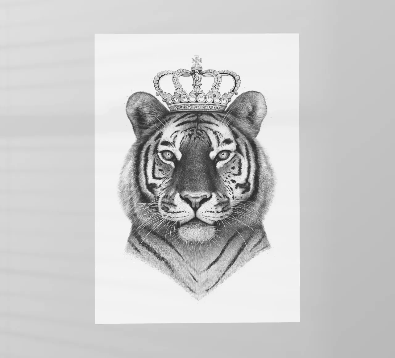 Il Re Tigre pellicola backlit da valeriyakorenkova