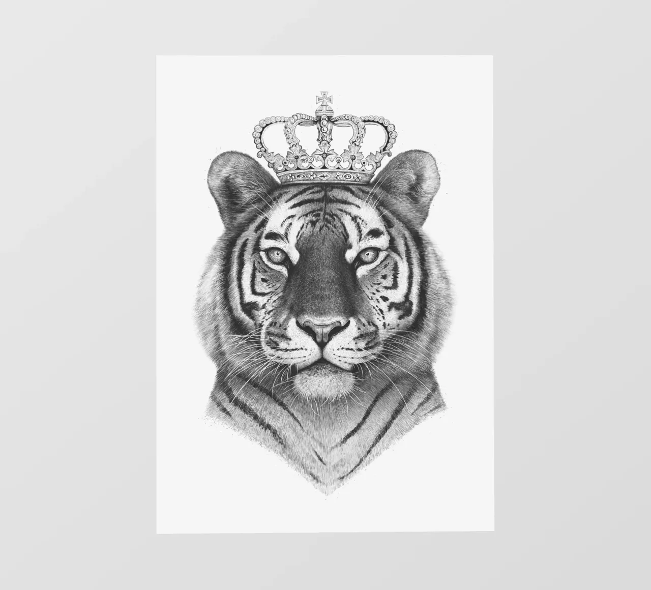 Il Re Tigre pellicola backlit da valeriyakorenkova