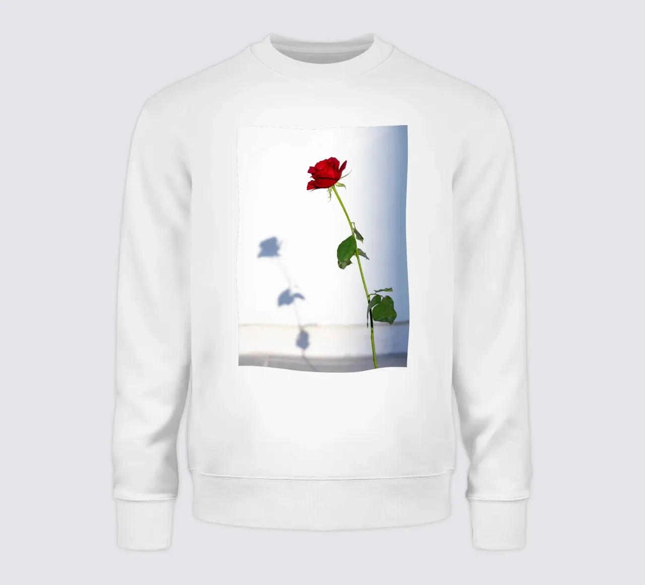 Momento n. 2 felpa da rafael campezato