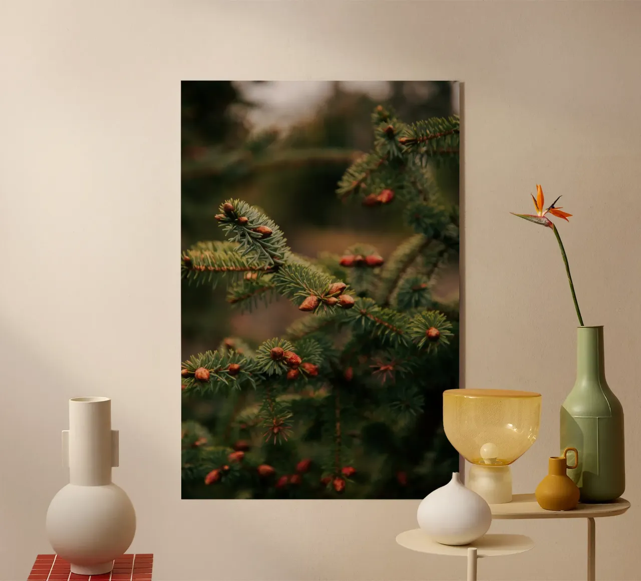 Spruce Tips plexiglass da wowhannahphotos