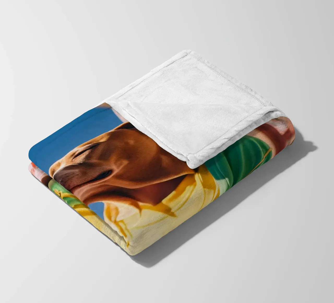 Jade coperta in pile da Affiches Chien Originales – Dogland
