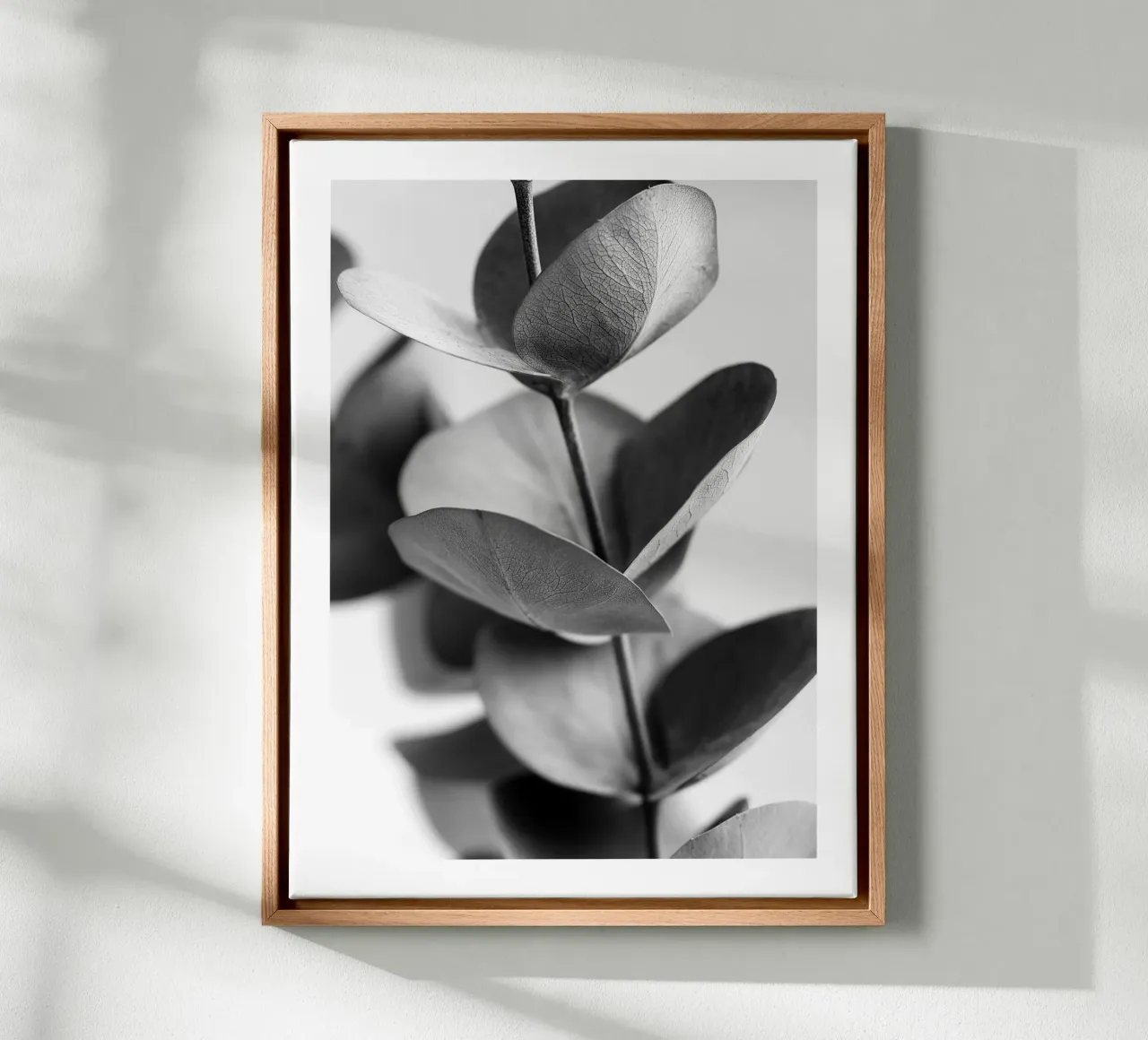 Eucalipto d'argento tela da Monochrome