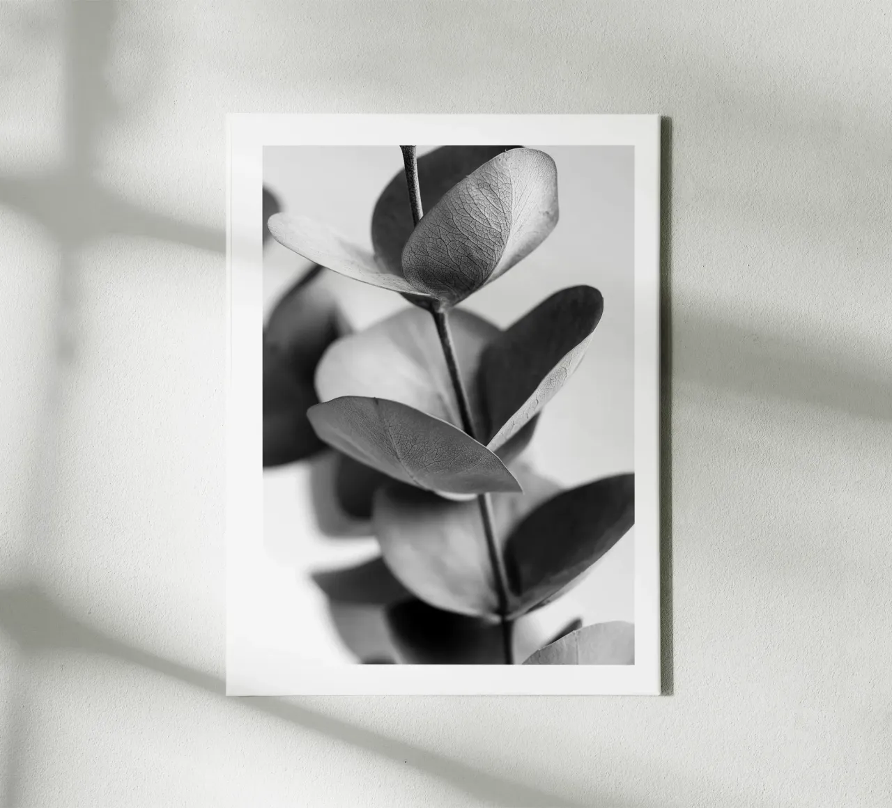 Eucalipto d'argento tela da Monochrome