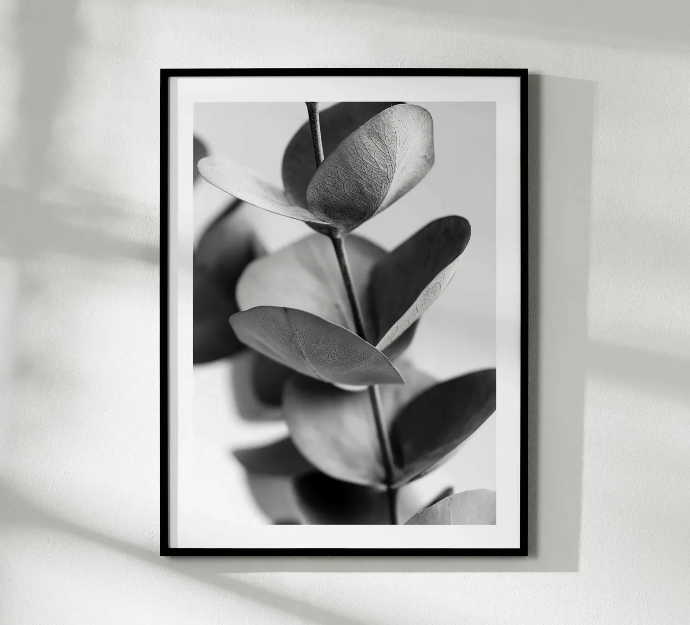 Silberner Eukalyptus Poster von Monochrome