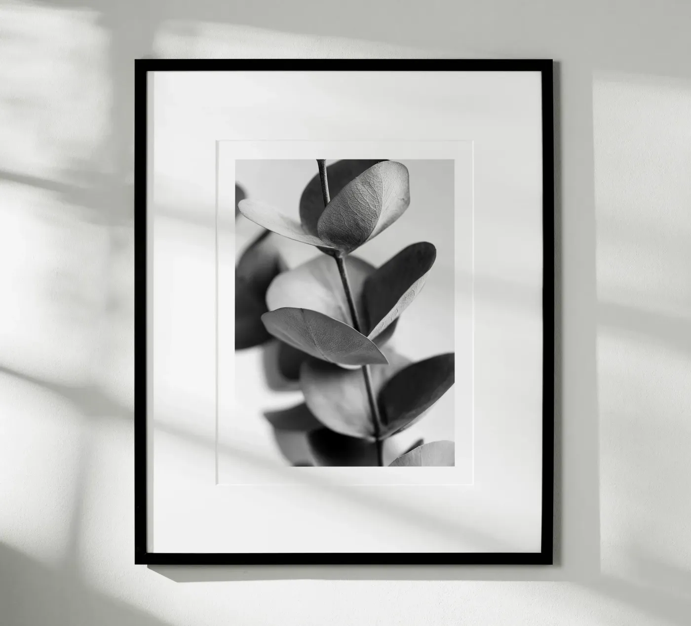Silberner Eukalyptus Poster von Monochrome