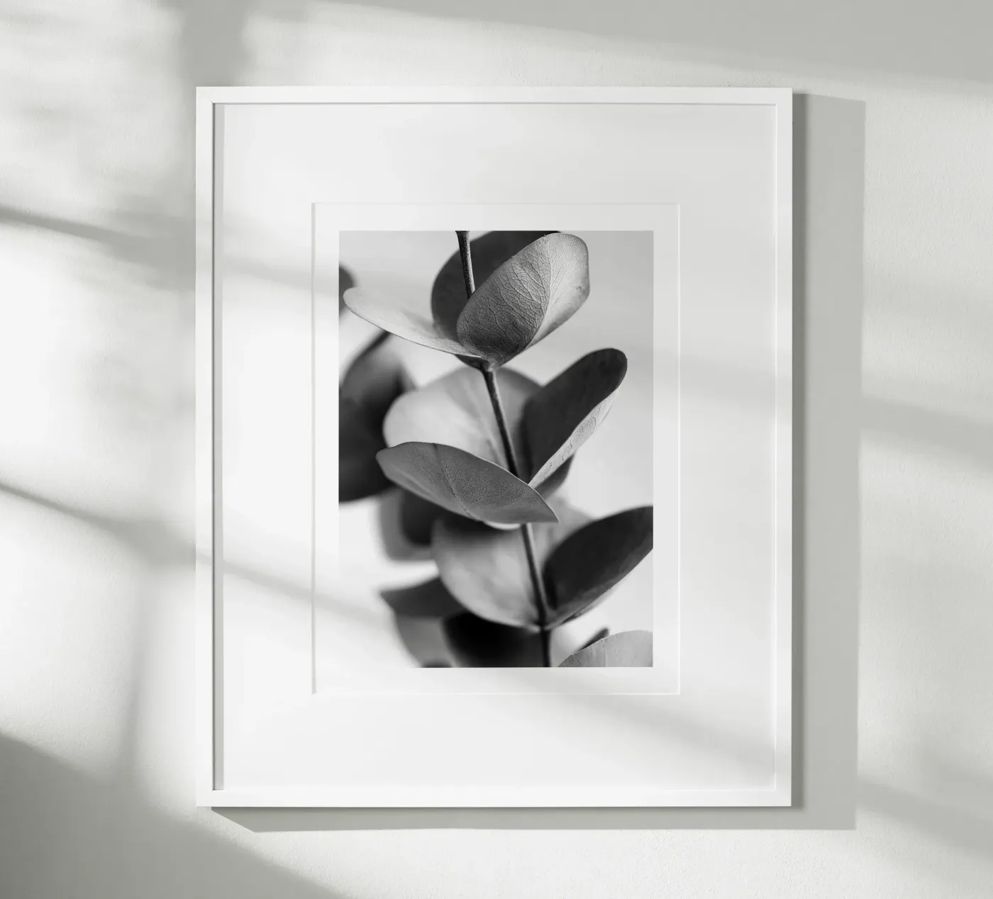 Silberner Eukalyptus Poster von Monochrome