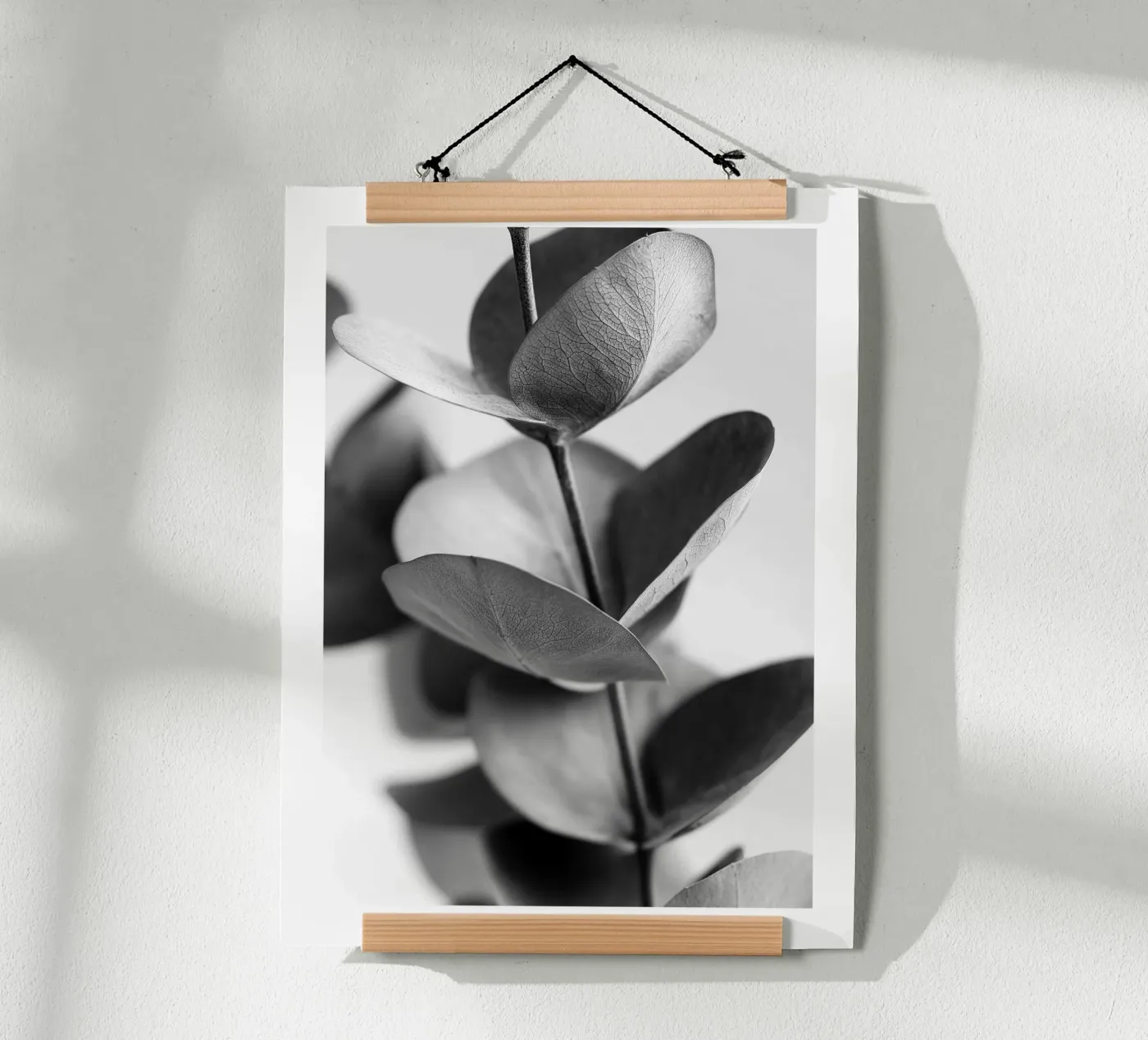 Silberner Eukalyptus Poster von Monochrome