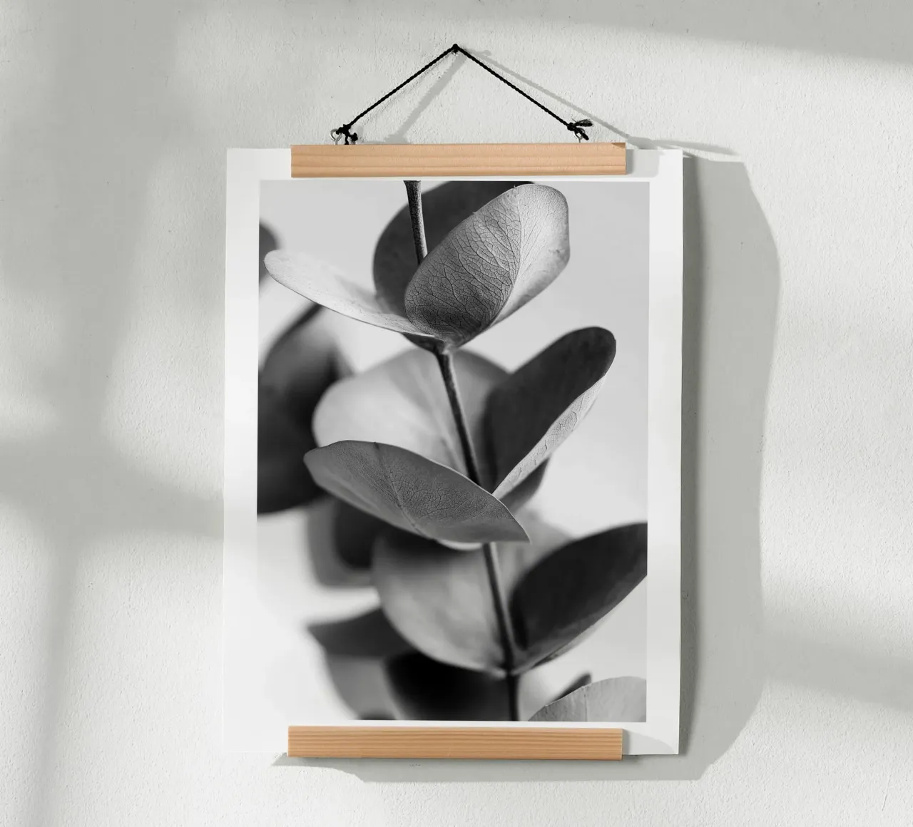 Eucalipto d'argento carta hahnemühle da Monochrome