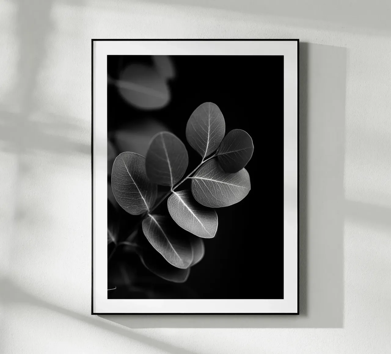 Round Eucalyptus plexiglass da Monochrome