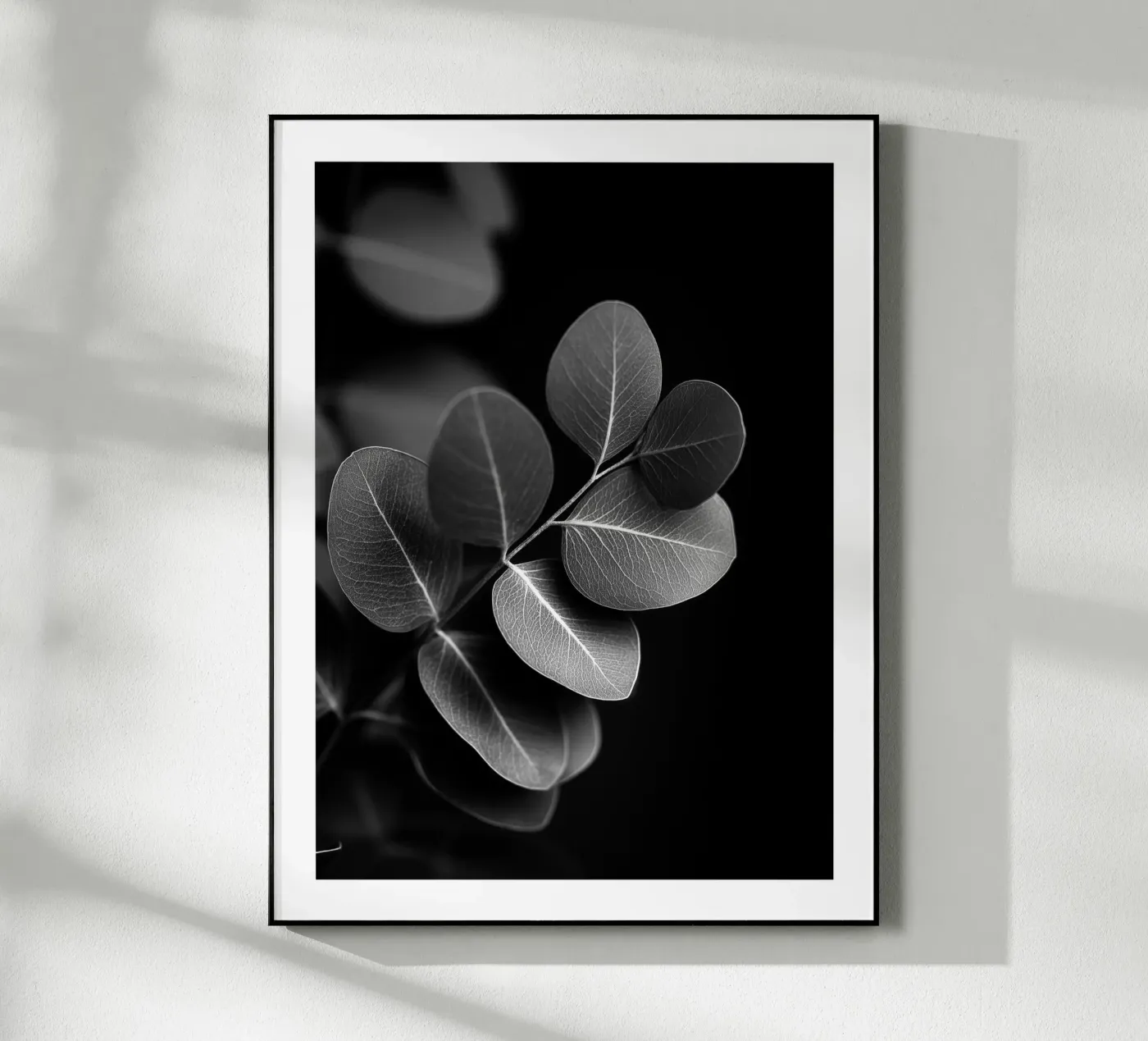 Eucalyptus rond plexiglas de Monochrome
