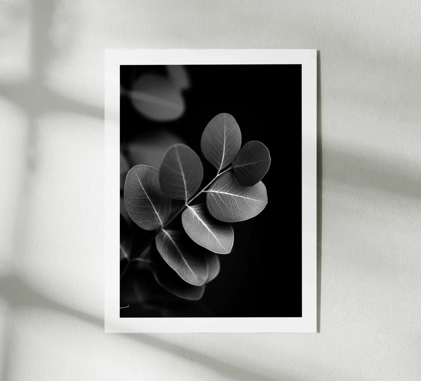 Eucalyptus rond plexiglas de Monochrome