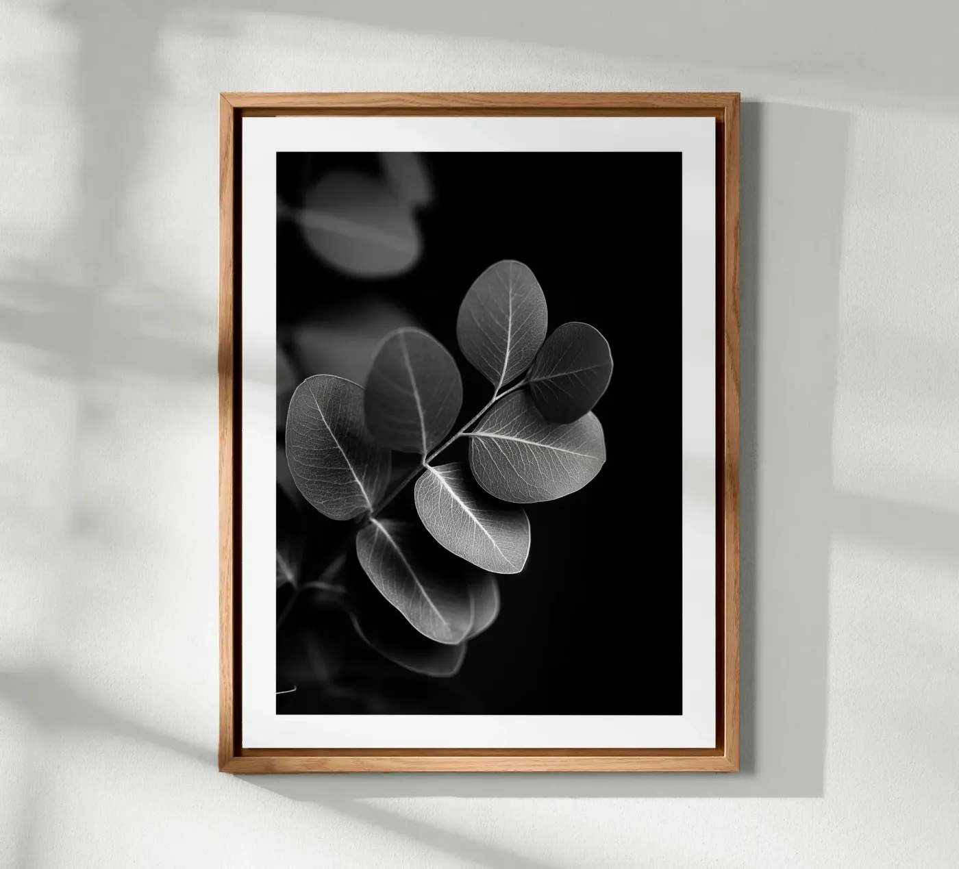 Eucalyptus rond panneau forex de Monochrome