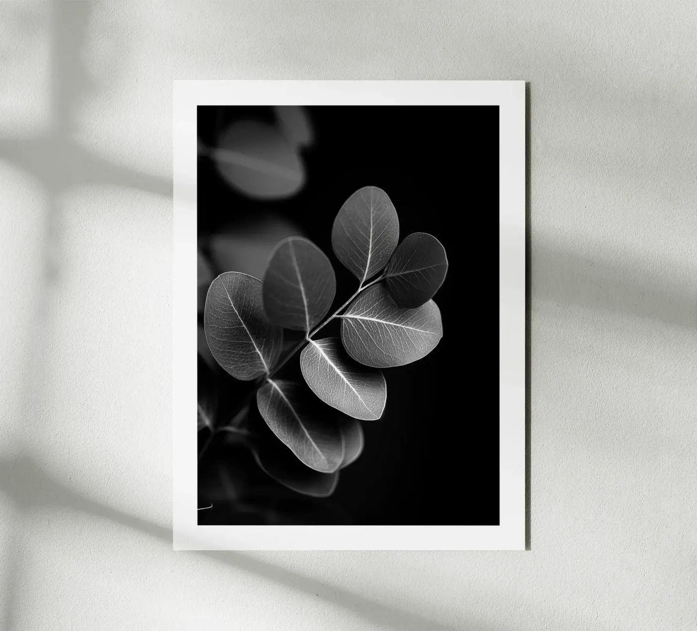 Eucalyptus rond panneau forex de Monochrome