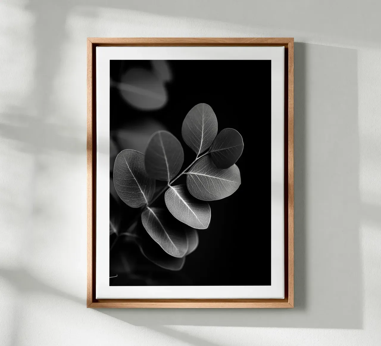 Round Eucalyptus canvas by Monochrome