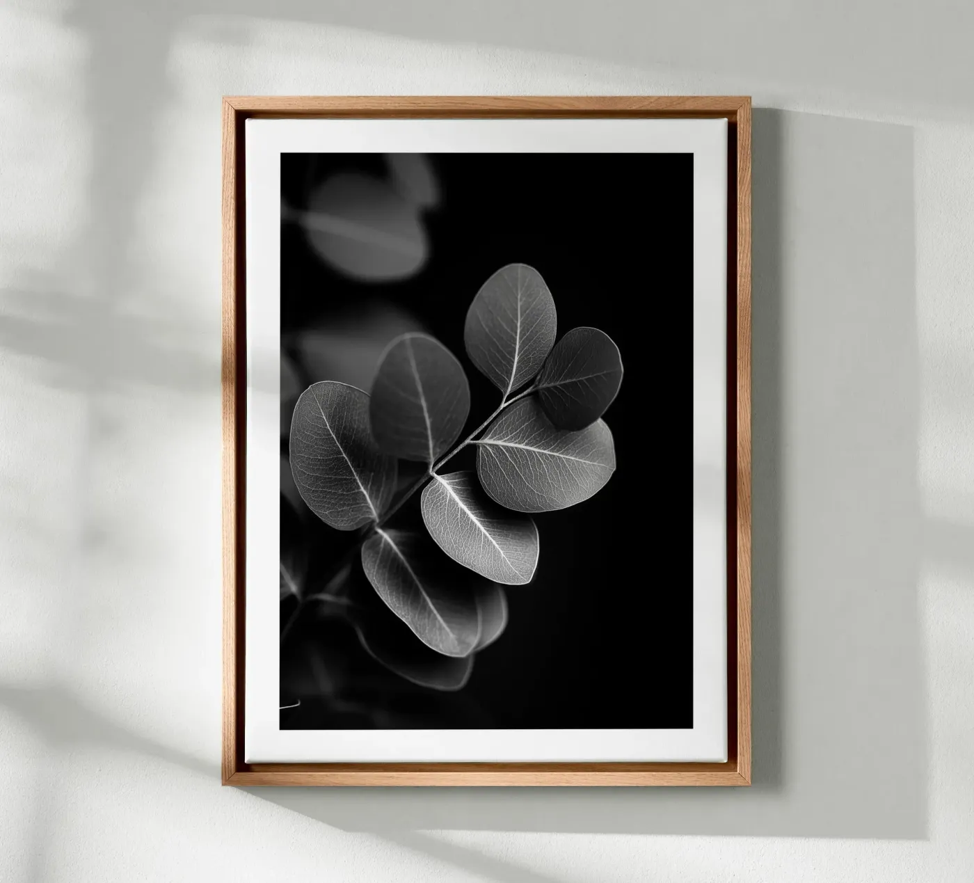 Runder Eukalyptus Leinwand von Monochrome