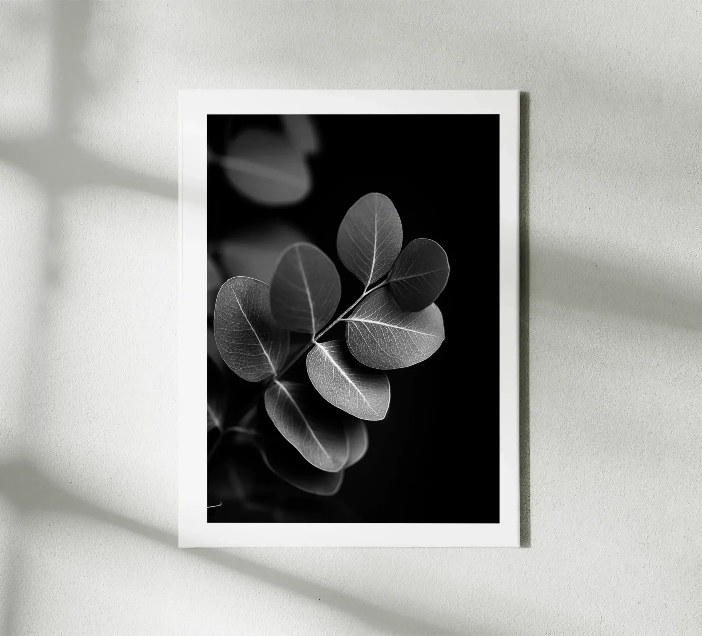 Runder Eukalyptus Leinwand von Monochrome