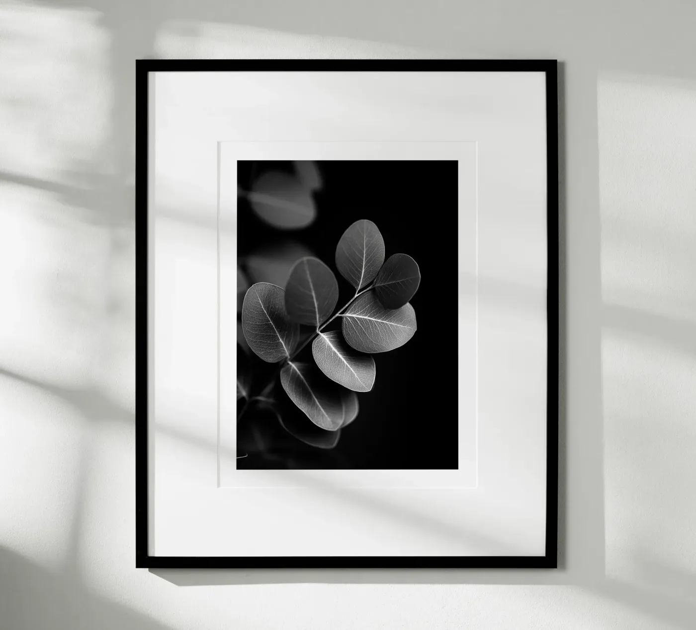 Eucalipto rotondo poster da Monochrome