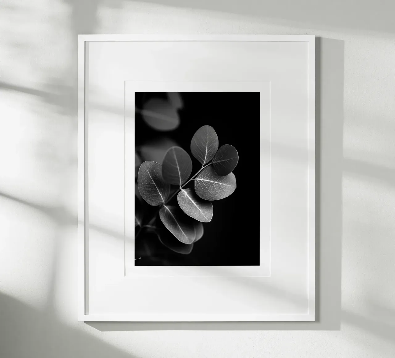 Round Eucalyptus poster by Monochrome