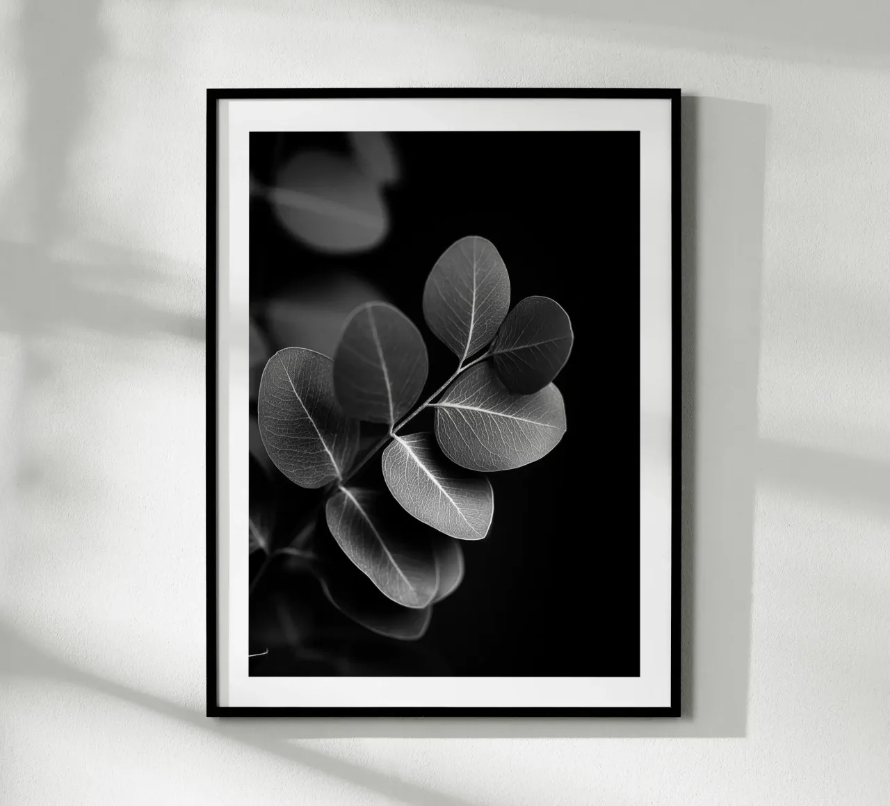 Round Eucalyptus poster by Monochrome