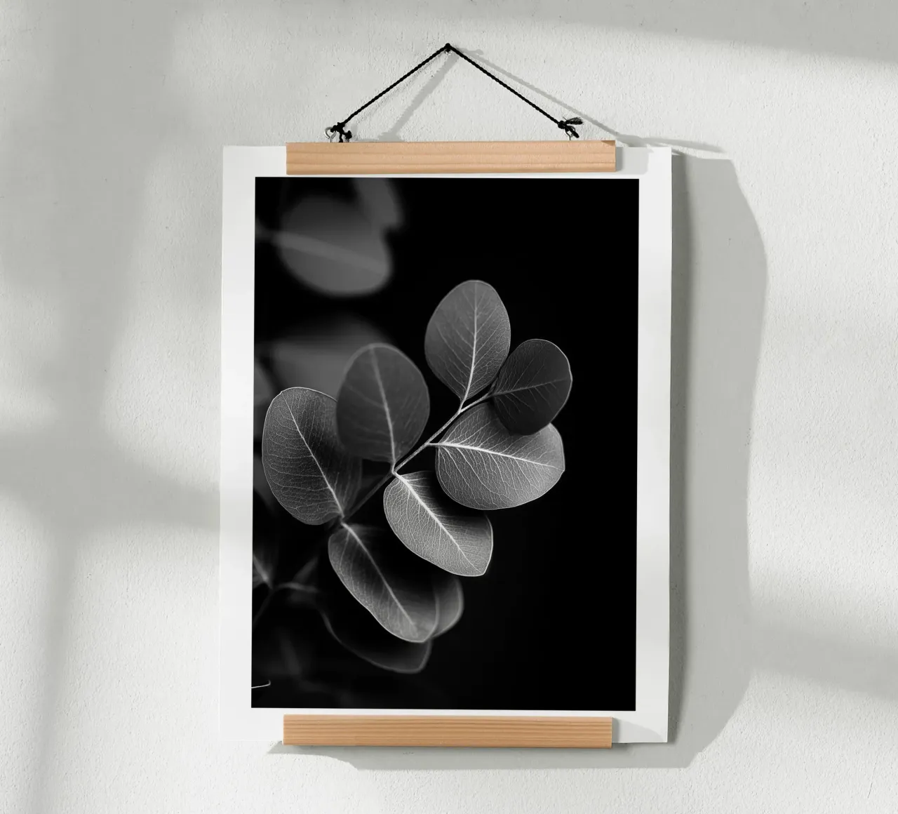Round Eucalyptus poster by Monochrome
