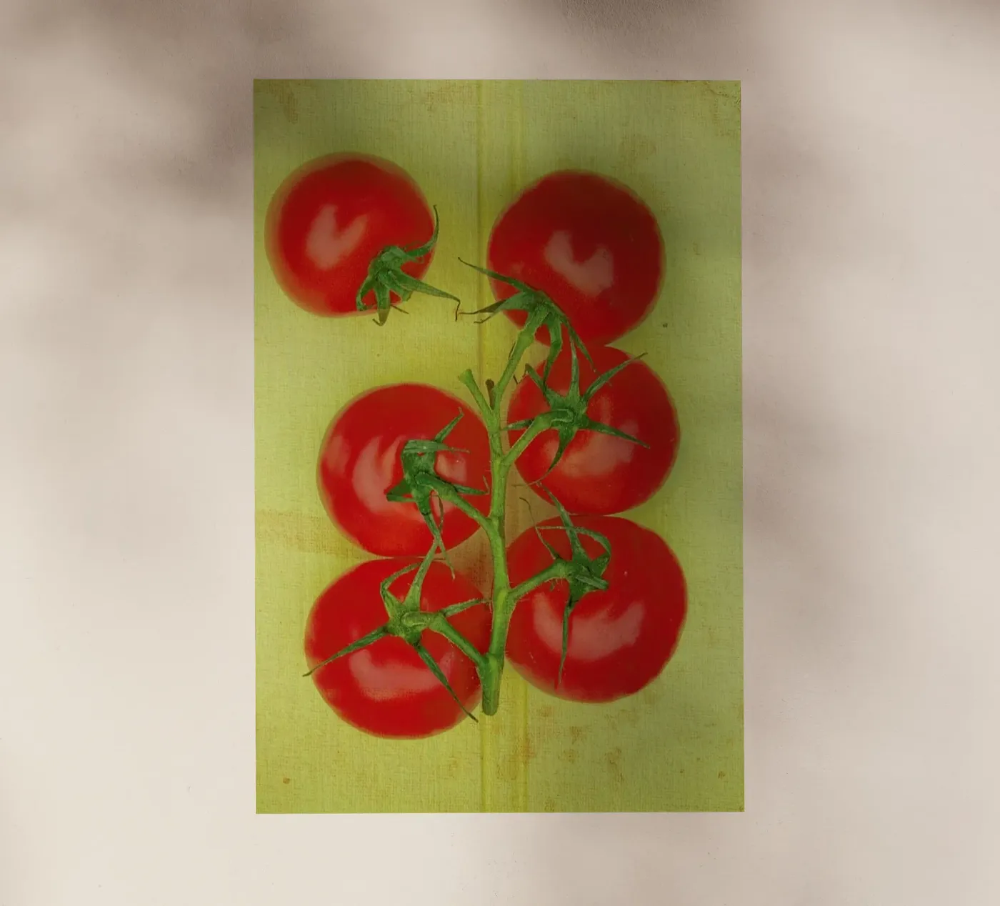 Big Tomatoes pellicola backlit da Keri Bevan