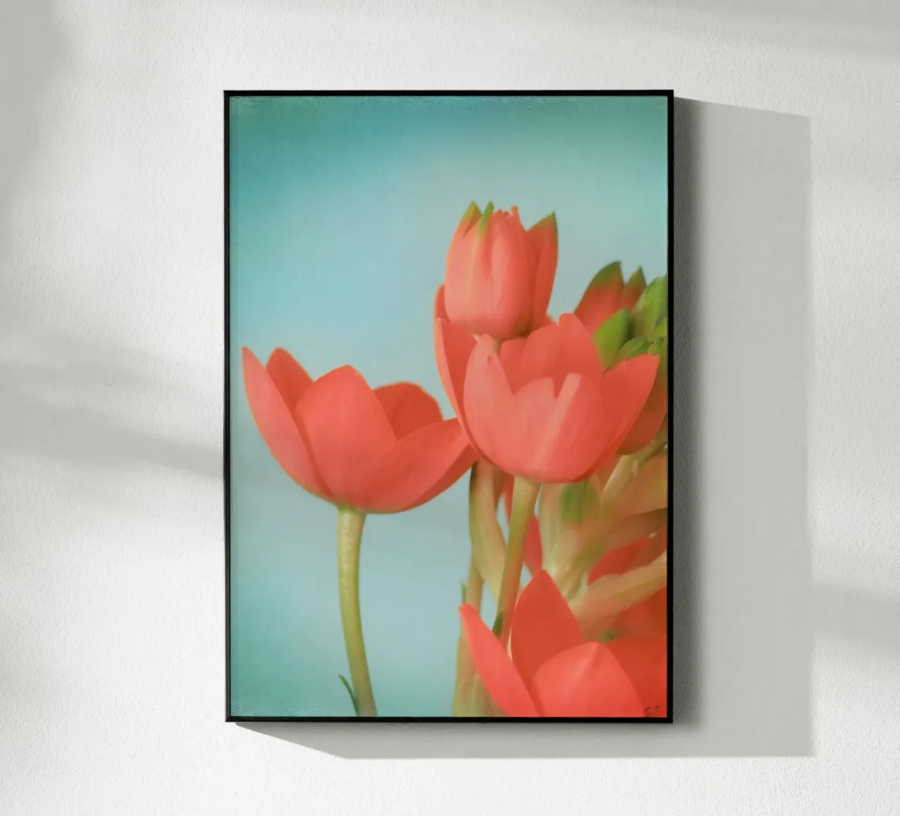 Korallenblumen Acryl-Glas von Eva Nev Photography