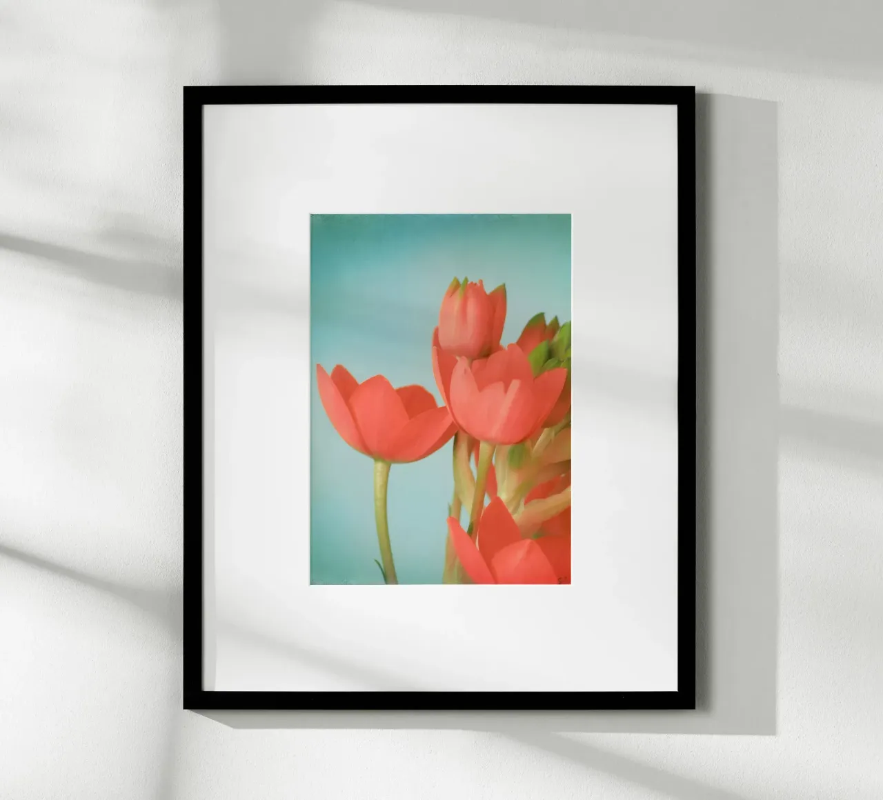 Fiori di corallo poster con telaio in plastica da Eva Nev Photography